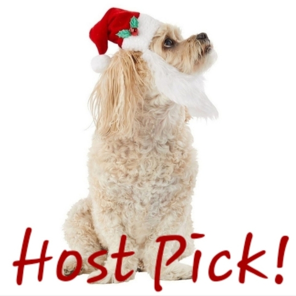 NWT Merry & Bright Pet Santa Hat with Attached Beard Dog Chistmas New - Picture 1 of 8